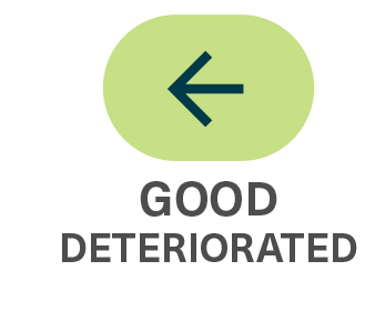 Green bubble with a leftwards pointing arrow to indicate a grade and trend of good, deteriorated.