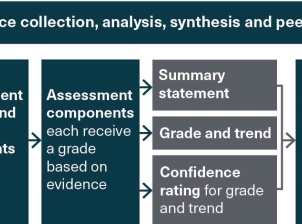 A flow chart describing the assessment approach to arrive at grades and trends which are presented at the end of each chapter. For each of the required statutory assessments, specific criteria and grading statements guide the analysis of available evidence and provide transparency. 