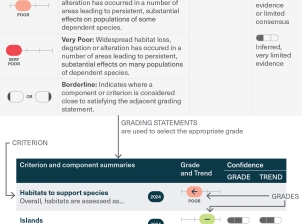 An example of a grading statement and how they relate to the assessment summary tables. 