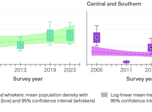 The left figure shows that dugong density in the northern Great Barrier Reef has increased slightly since 2006, with the last two surveys in 2019 and 2023 showing very similar densities with 0.249 and 0.250 dugongs per square kilometer, respectively.  The right figure show that the dugong density in the southern Great Barrier Reef has declined since 2005, with the lowest densities being recorded in 2011. The value for 2022 was less than 0.14 dugongs per square kilometer.  