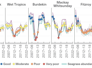 This timeseries graph shows annual results for the Marine Monitoring Program seagrass index from the 2005–06 to 2022–23 monitoring years in the Cape York, Wet Tropics, Burdekin, Mackay Whitsundays, Fitzroy, and Burnett Mary regions.. The seagrass index combines scores for seagrass abundance and resilience on a scale of zero to one hundred. 