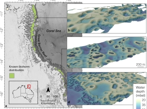 Map of the northern Ribbon Reefs, showing that Halimeda bioherms are distributed all along the inside of the reefs. Three detailed computer generated 3D images show the variation in bioherm morphology.