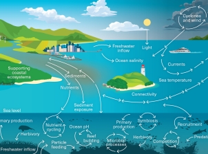 The diagram is of a landscape with the Reef’s supporting coastal ecosystems depicted via a continental land mass with mountains, coastal development, such as city, marina and wind farm, bordering a river mouth with white arrows naming the processes. 