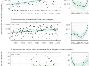 A series of 6 scatterplots with trendlines showing trichodesmium abundance. There are 3 different methods of collection, and each method is presented on an annual timeseries (from 2010 to 2023) and a seasonal timeseries (from January to December). 