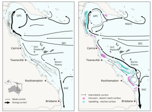 Figure is of two maps, side by side, both depicting the Eastern Australian coast down to Brisbane and up to the base of Papua New Guinea, focusing on the Coral Sea and Great Barrier Reef. The Queensland and Marion Plateaus are named, positioned centrally, and arrows are draw over the ocean region: narrow lines depicting weak currents and thick dark lines depicting strong current areas.