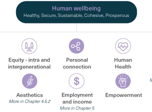 A two-tiered diagram with an elongated icon listing Human wellbeing in the first line of its top tier, followed by the associated adjectives healthy, secure, sustainable, cohesive and prosperous in the second line.