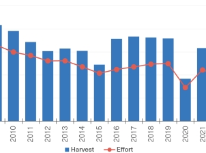 A column and line graph depicting the charter fishing total catch and effort (respectively) from 2008 to 2022. The graph has two Y axes. On the primary Y axis, the columns indicate the total number of tonnes caught and secondary Y axis is a line depicting fishing effort (in days). Years from 2008 to 2022 are on the x axis.