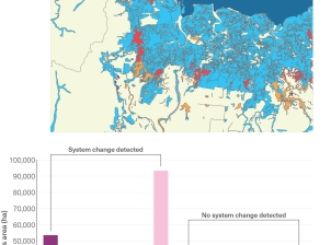 This figure comprises a map (top) and a bar graph (below). The map shows an example location within the Region, with land areas shaded to show system status. The bar graph includes ten categories of bunding along the x axis, separated in two main groups:  those where system change has been detected shown as red or pink bars and those where no system change has been detected shown as orange bars. 