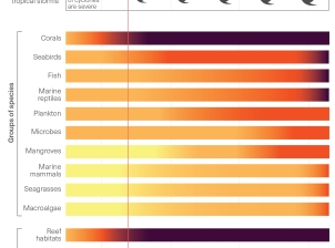 This infographic depicts two main aspects of climate change: top graph: the response of the physical environment to increasing concentrations of atmospheric carbon dioxide and bottom graph: the projected vulnerability of different habitats and groups of species in response to changes in the physical environment. 