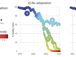 Two graphs are shown side by side, both have year along the x axis and percentage of healthy reefs on the y axis. 