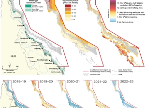 Three coloured map layers are overlayed over the base map in a left to right sequence: maximum extent of primary and secondary water types (left map); total accumulated exposure to cyclone-generated waves exceeding 4 metres in height (middle map); and thermal stress as maximum degree heating weeks reached between 01 December to 31 March for the 2018-19 to 2022-23 summers (right map). 