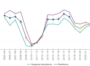 This is a line graph with “Seagrass condition index (score)” on the y-axis and financial years on the x-axis (from 2005-06 to 2022-23). In 2005-06, the score was good. This declines to very poor in 2010-11 before recovering to good in 2016-17 and declining to moderate in 2018-19 and stays at this level to 2022-23. Lines for resilience and seagrass abundance follow a similar trend.