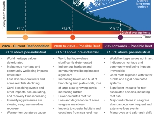 This conceptual diagram shows ecosystem health on the y-axis over three time-points on the x-axis (current day, 2030 to 2050 – Possible Reef and 2050 onwards – Possible Reef) with two possible pathways for the Region to take over the next few decades. 