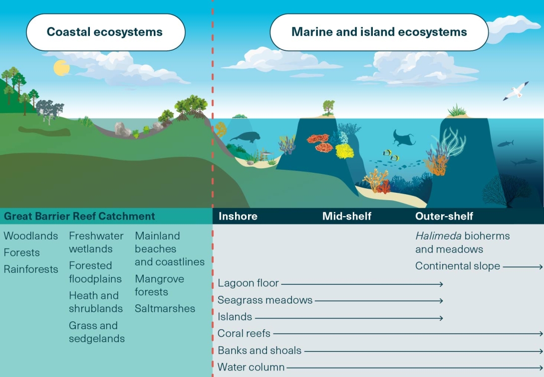 Infographic combining a cross-section illustration that depicts the major habitats described in the Outlook Report and their relative distributions, moving from the Great Barrier Reef Catchment on the left through the inshore, mid-shelf and outer-shelf reefs on the right.