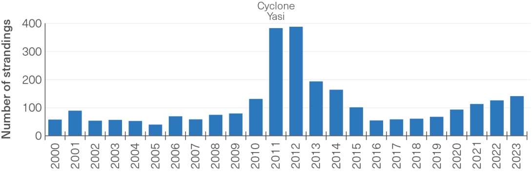 : Between 2000 and 2009, the number of stranded green sea turtles was lower than 50 animals per year, rising to over 100 animals in 2010. In 2011 (the year of cyclone Yasi) and 2012 numbers reached an unprecedented high of over 350 turtle strandings. Subsequent years saw a reduction in stranding numbers again to pre-Yasi levels. Since 2019, strandings have increased slightly every year. 