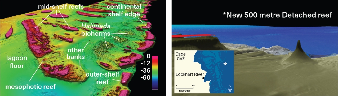 The left side of this split image shows a three-dimensional image created from multibeam sonar data of the northern Great Barrier Reef. The image depicts different underwater geomorphological features such as the lagoon floor, mid-and outer-shelf reefs, mesophotic reefs and the continental shelf edge. 