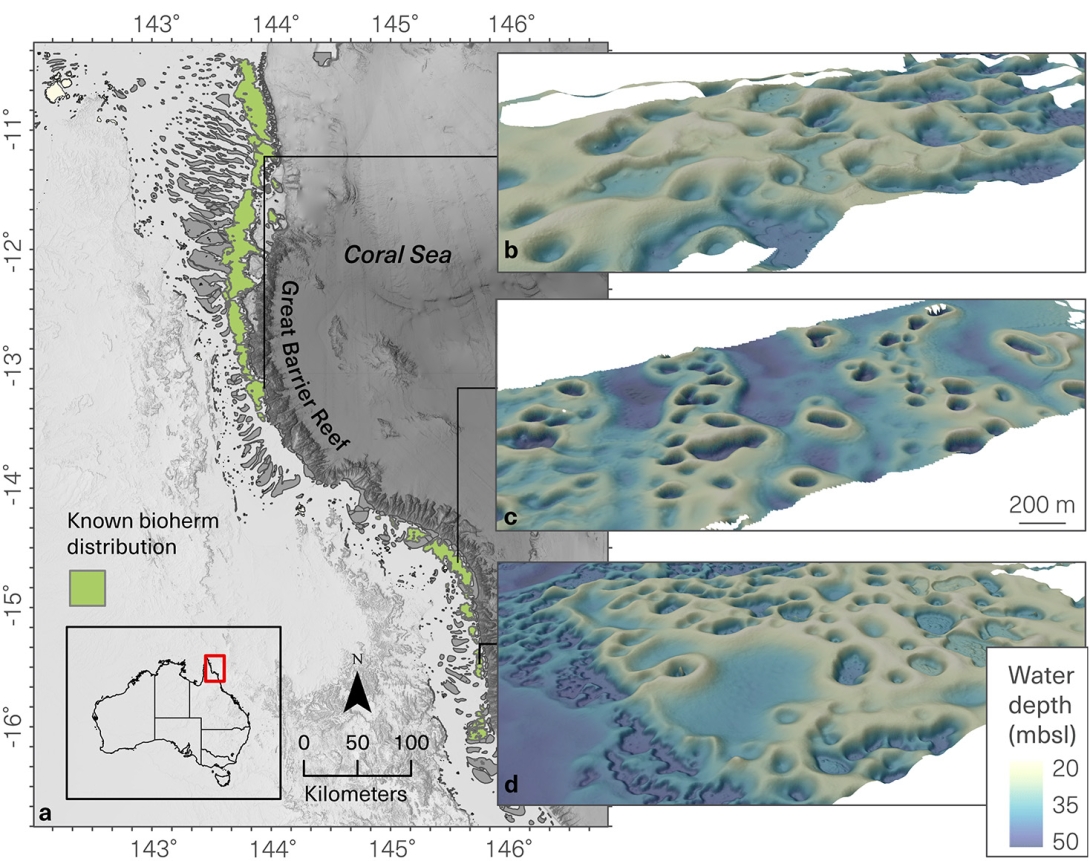 Map of the northern Ribbon Reefs, showing that Halimeda bioherms are distributed all along the inside of the reefs. Three detailed computer generated 3D images show the variation in bioherm morphology.