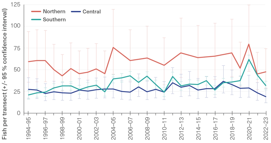 Line graph of herbivorous fish abundance through time. The northern region had consistently higher abundances than the central and southern regions, which were more similar to each other. In 1994-95, the southern region had the lowest abundance - with less than 25 fish per transect compared to more than 25 and 60 fish per transect in the central and northern regions respectively. 