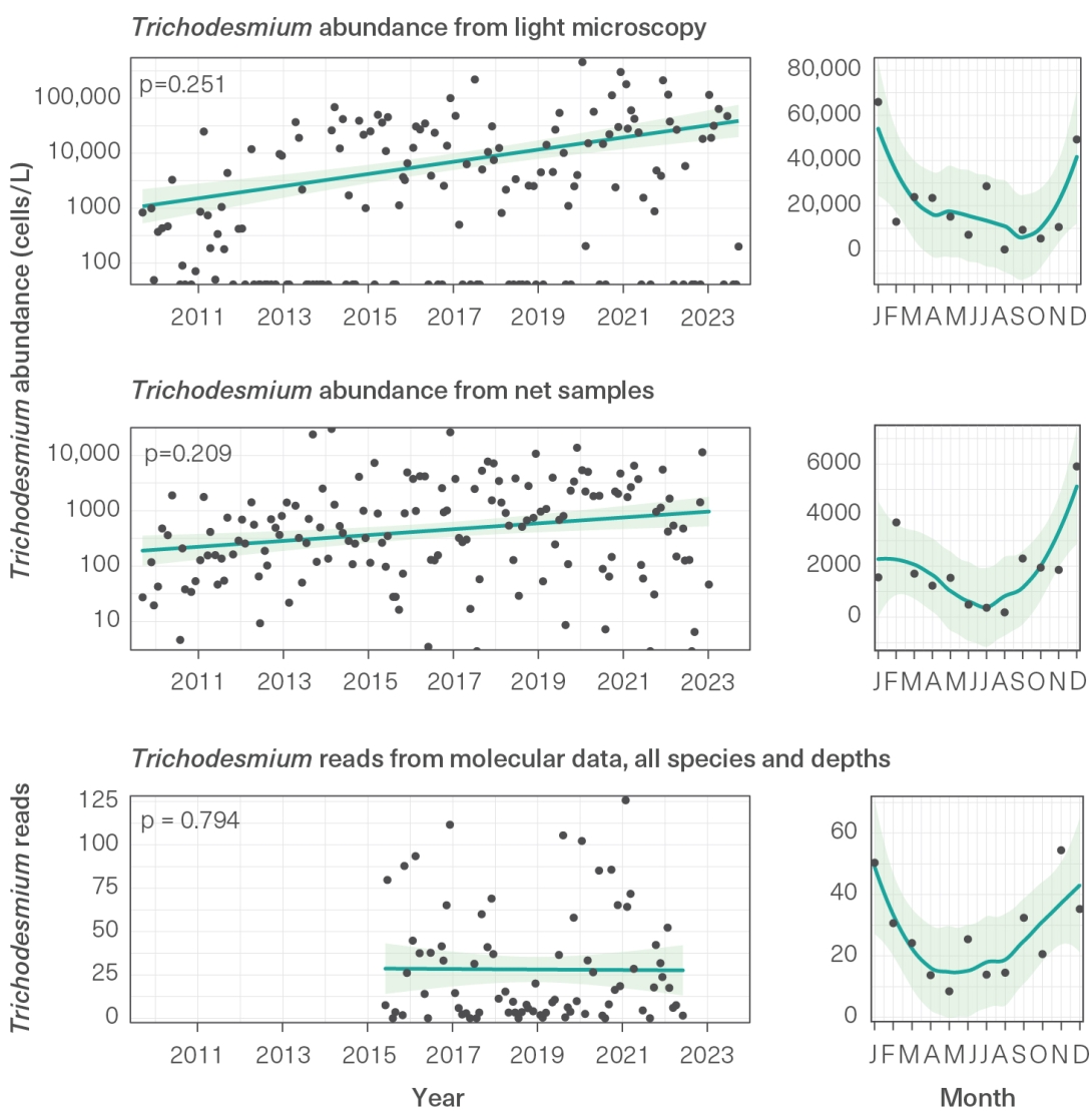 A series of 6 scatterplots with trendlines showing trichodesmium abundance. There are 3 different methods of collection, and each method is presented on an annual timeseries (from 2010 to 2023) and a seasonal timeseries (from January to December). 