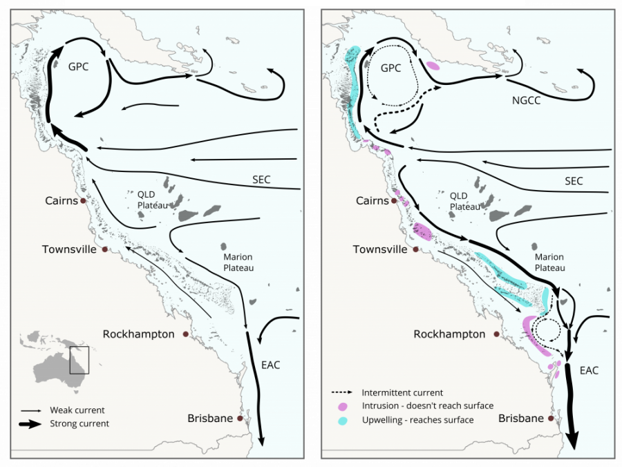 Figure is of two maps, side by side, both depicting the Eastern Australian coast down to Brisbane and up to the base of Papua New Guinea, focusing on the Coral Sea and Great Barrier Reef. The Queensland and Marion Plateaus are named, positioned centrally, and arrows are draw over the ocean region: narrow lines depicting weak currents and thick dark lines depicting strong current areas.