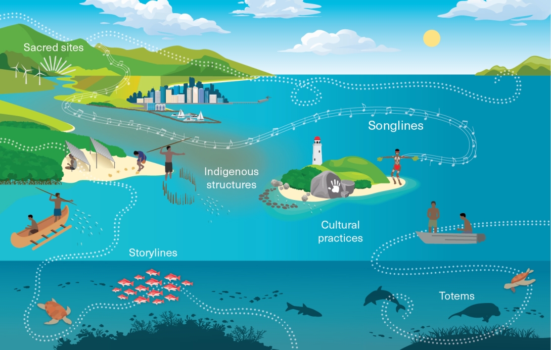 Infographic showing a 3-dimensional image of the land extending down to the ocean with inshore and offshore islands. Turtles, fish and dugongs swim in the ocean over coral reef and seagrass meadow. Rock art and a lighthouse appear on an island in the foreground. Across the land and sea are white flowing markings with music symbols and dots representing culturally important song lines and connections valued by Aboriginal and Torres Strait Islander people. 