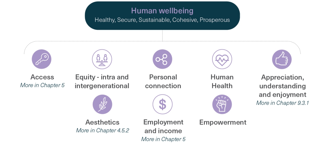 A two-tiered diagram with an elongated icon listing Human wellbeing in the first line of its top tier, followed by the associated adjectives healthy, secure, sustainable, cohesive and prosperous in the second line.