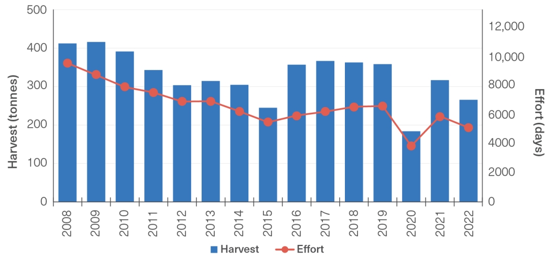 A column and line graph depicting the charter fishing total catch and effort (respectively) from 2008 to 2022. The graph has two Y axes. On the primary Y axis, the columns indicate the total number of tonnes caught and secondary Y axis is a line depicting fishing effort (in days). Years from 2008 to 2022 are on the x axis.