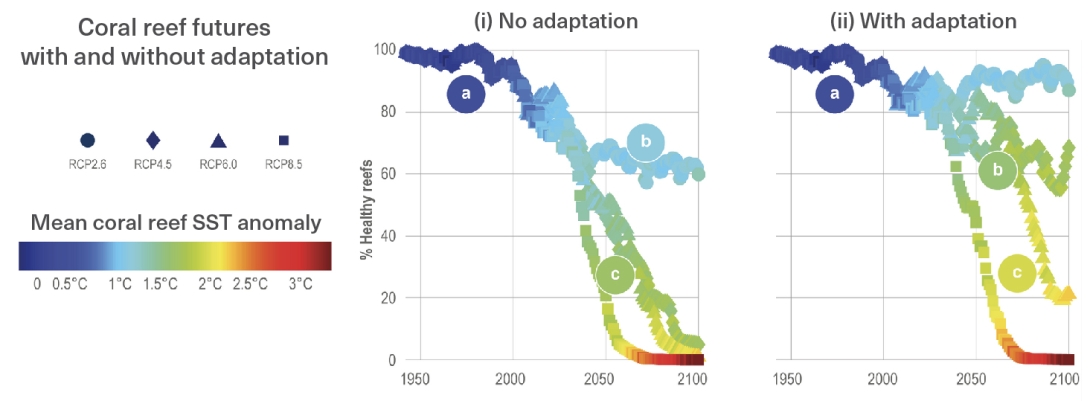 Two graphs are shown side by side, both have year along the x axis and percentage of healthy reefs on the y axis. 