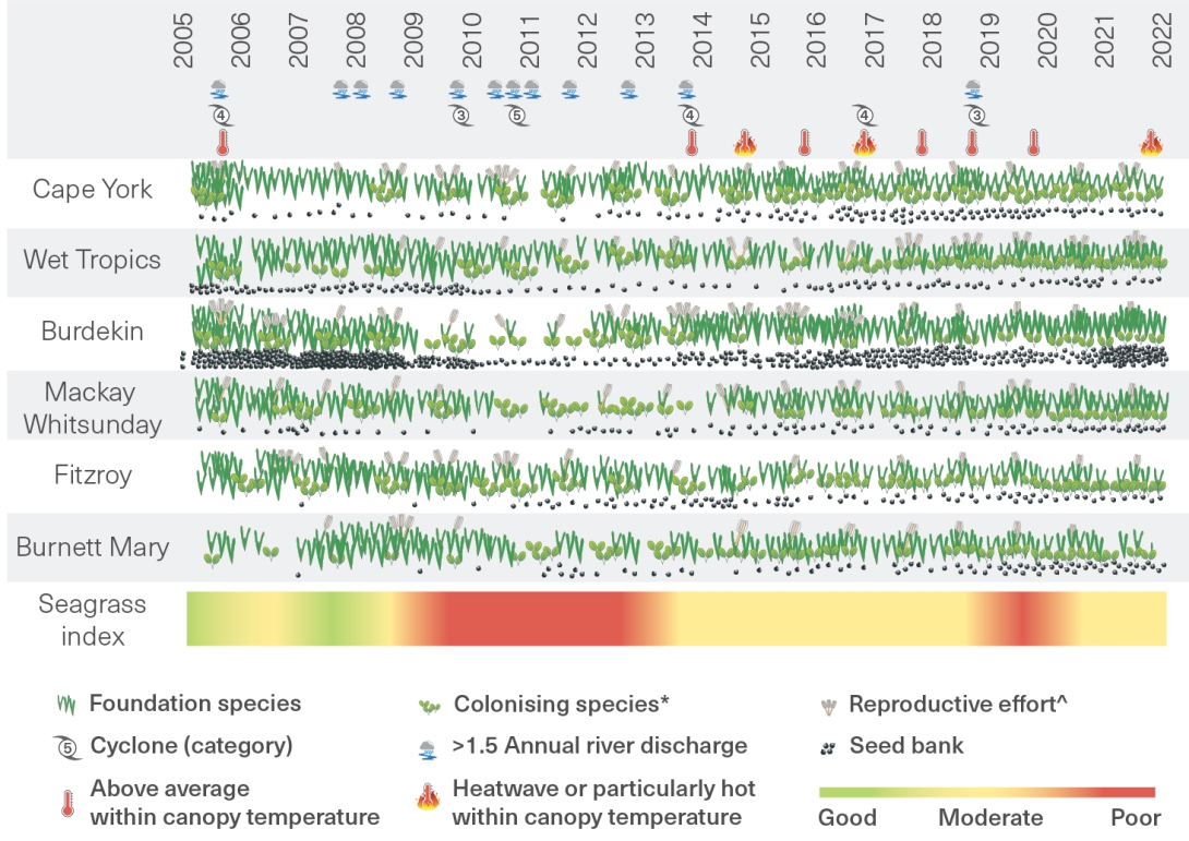 This is a timeline from 2005 to 2022 providing a semi-quantitative depiction of the seagrass condition index for the Region and its individual components for the 6 natural resource management (NRM) regions. 