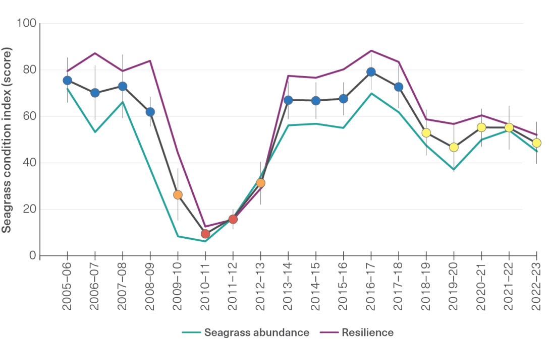 This is a line graph with “Seagrass condition index (score)” on the y-axis and financial years on the x-axis (from 2005-06 to 2022-23). In 2005-06, the score was good. This declines to very poor in 2010-11 before recovering to good in 2016-17 and declining to moderate in 2018-19 and stays at this level to 2022-23. Lines for resilience and seagrass abundance follow a similar trend.