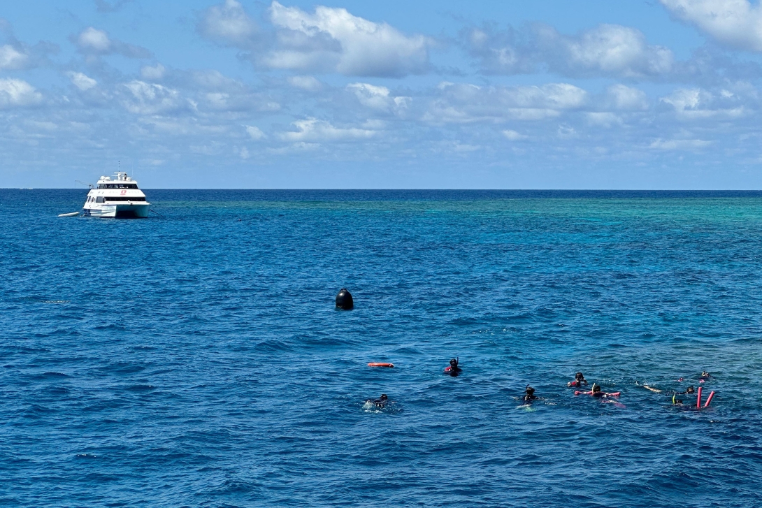 An ocean surface image of a group of snorkellers with a tourism vessel in the background. 