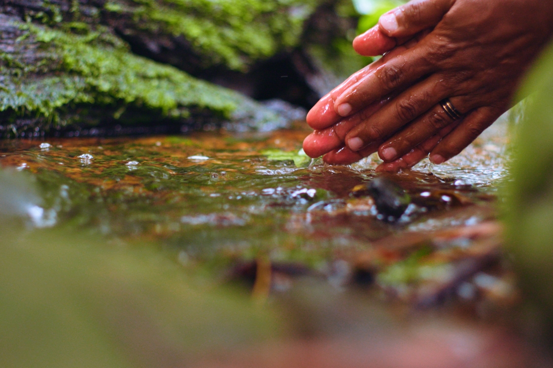 A pair of hands touching a clear natural stream of water with lush rocks and moss in the background. 