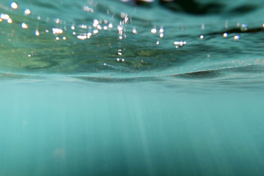 An underwater photograph of the surface of the ocean and water column with rays of light breaking through the surface and visible particles floating on the water surface.