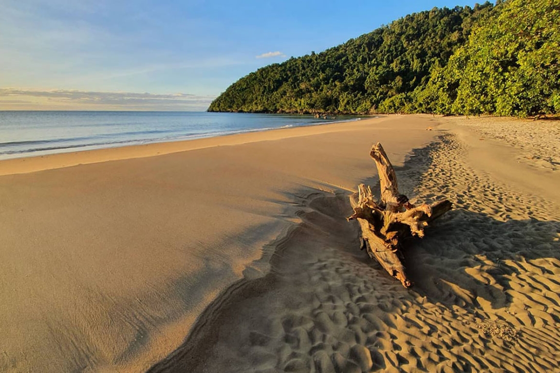 Photograph showing a driftwood log on a sandy beach at with long shadows from the rising sun.