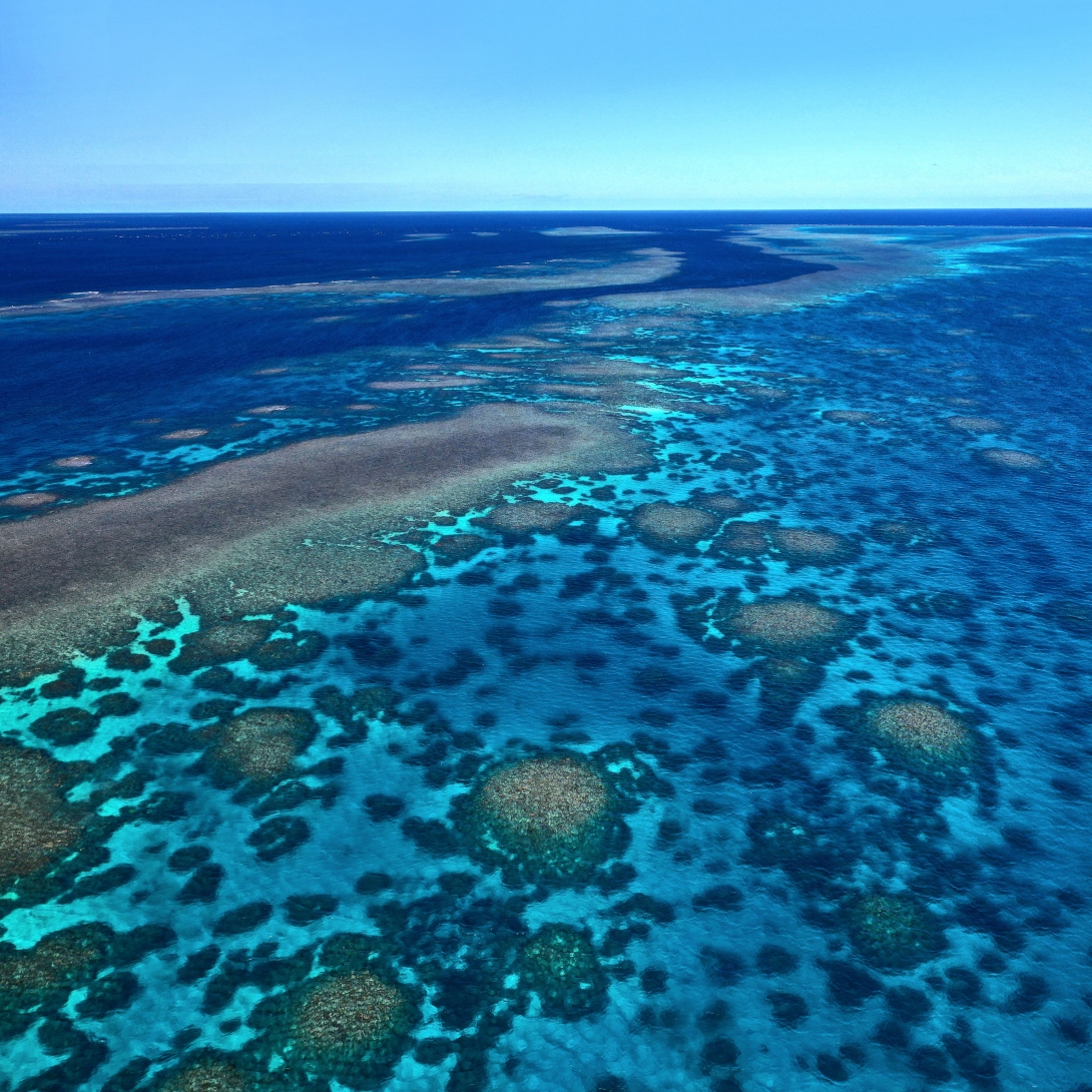 Aerial photograph of a reef with a deeper channel adjacent to a narrow reef flat that extends into a lagoon’s field of shallow coral bommies.