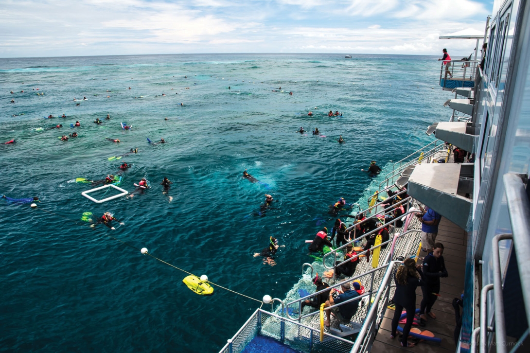 Many tourists snorkelling at Moore Reef from a pontoon.