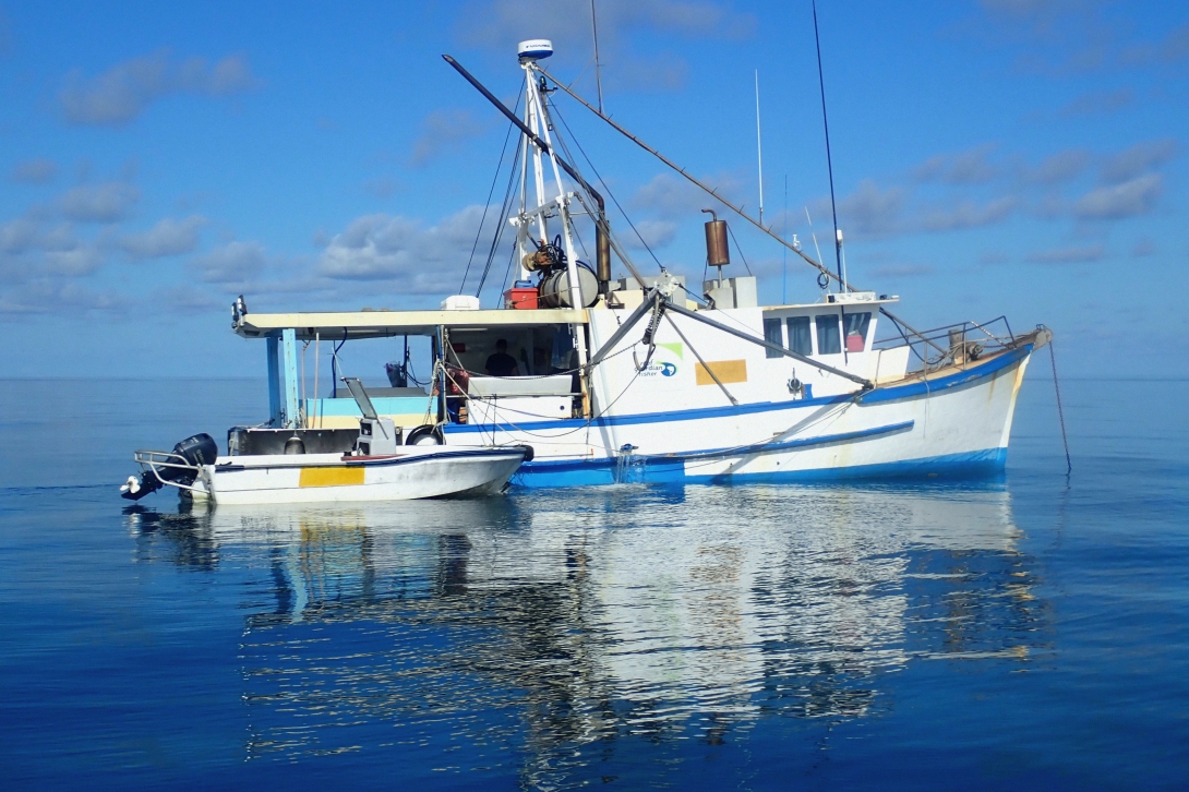 A stationary commercial reef line fishery boat and a small tender vessel  on the water.