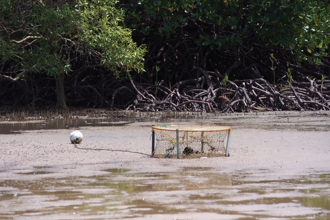 A photo of a discarded crab pot at low tide with mangroves in the background.