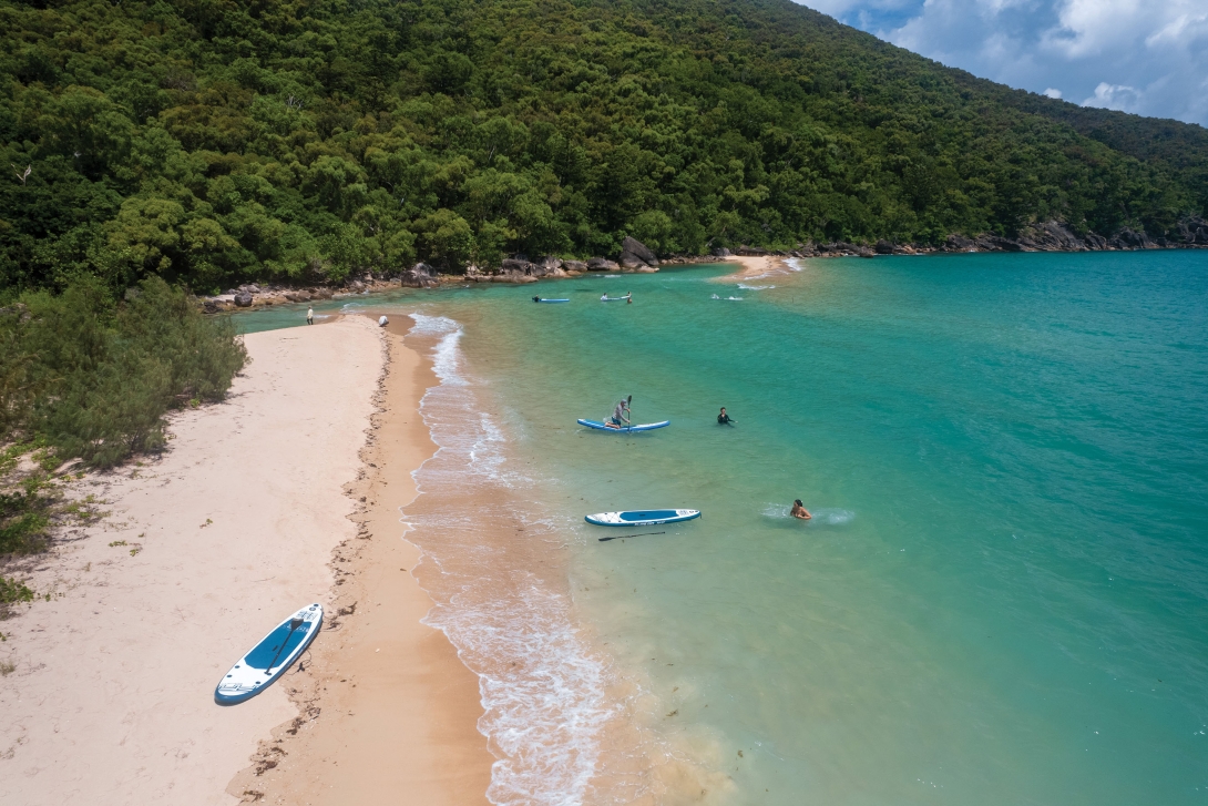 Group of people stand-up paddleboarding in the water at an island beach.