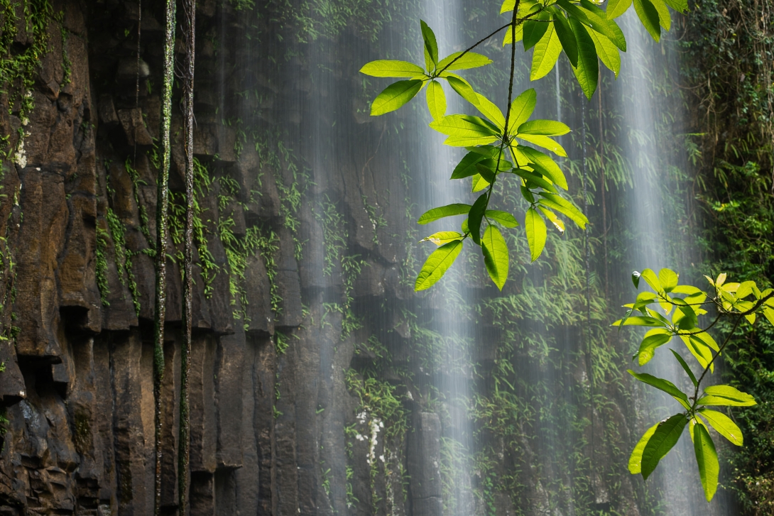 A section of a waterfall in front of vertical rock with bright green vegetation in the foreground.