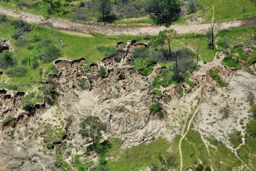 Aerial image of a large area of an gully that is eroding along its banks. The gully contains mostly dried sediment with very limited vegetation, but is surrounded by grassy landscape with sparse trees and a dirt road.