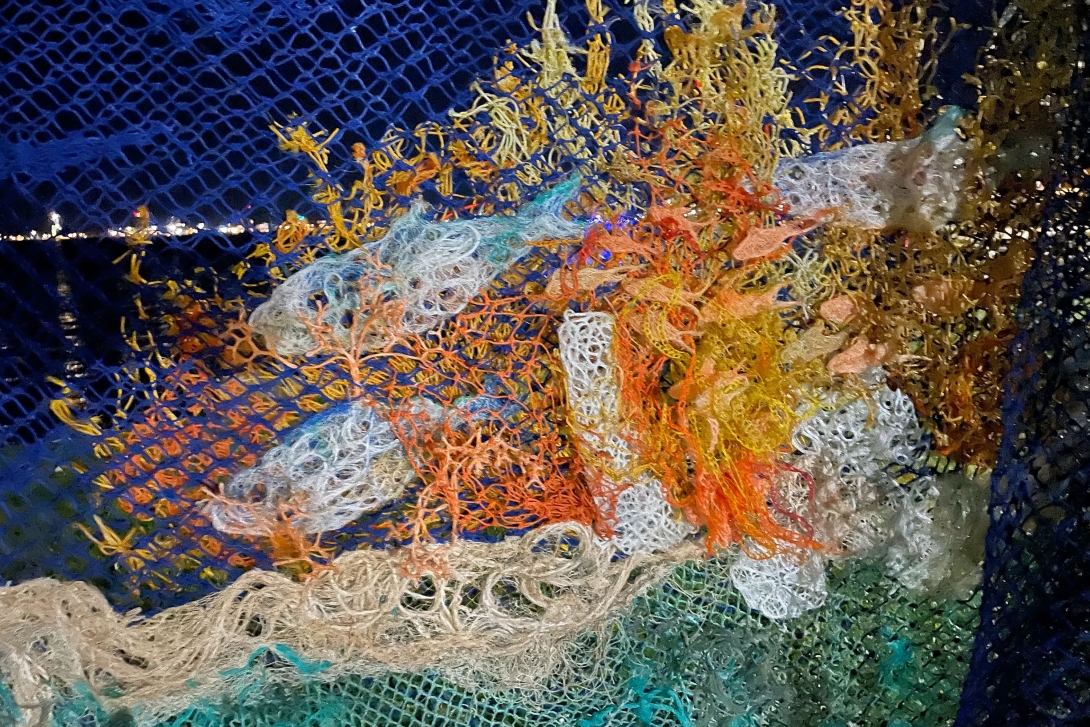 A photo of colourful artwork showing part of a reef scene, with corals and fish, all created from discarded fishing nets and rope.