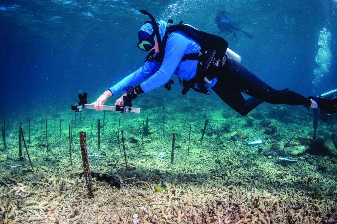 Underwater photograph of a SCUBA diver swimming above a seabed dominated by coral rubble, marked with pickets, while holding a pole with two mounted GoPro’s. Two additional divers can be seen in the background, one idling at the surface, and the other one hidden behind the diver’s fins, merely visible by his tank and underwater bubbles.