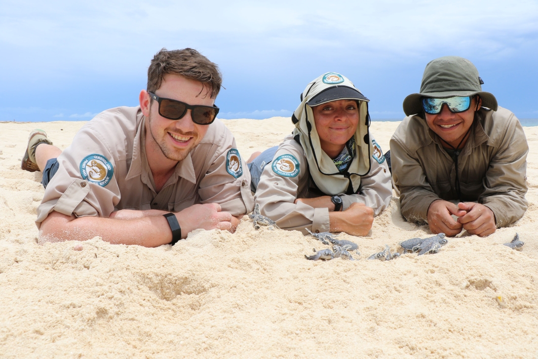 Photograph of three Queensland Parks and Wildlife Services rangers, lying on their bellies in the sand, in front of a group of turtle hatchlings.