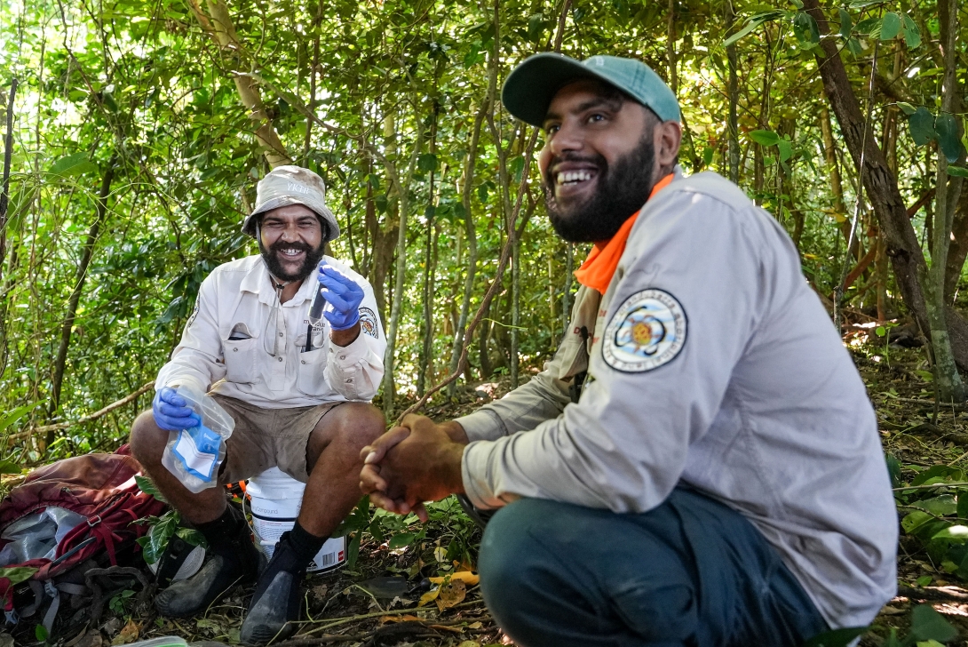 A photograph of 2 Indigenous Manduburra Rangers crouching in the forest on Stephens Island. The rangers are both in uniform and smiling at the camera. One is resting on an bucket while he collecting samples with gloves on and a specimen bag ready.