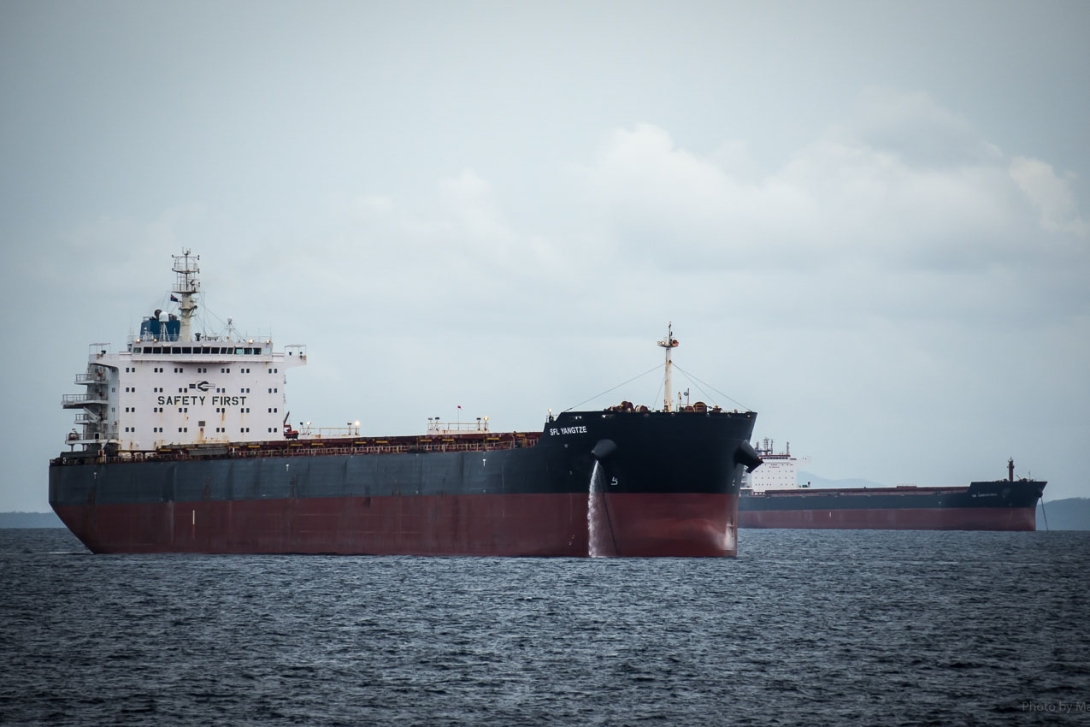 Two large cargo ships at anchor in the ocean, with mountains on the distant horizon. 