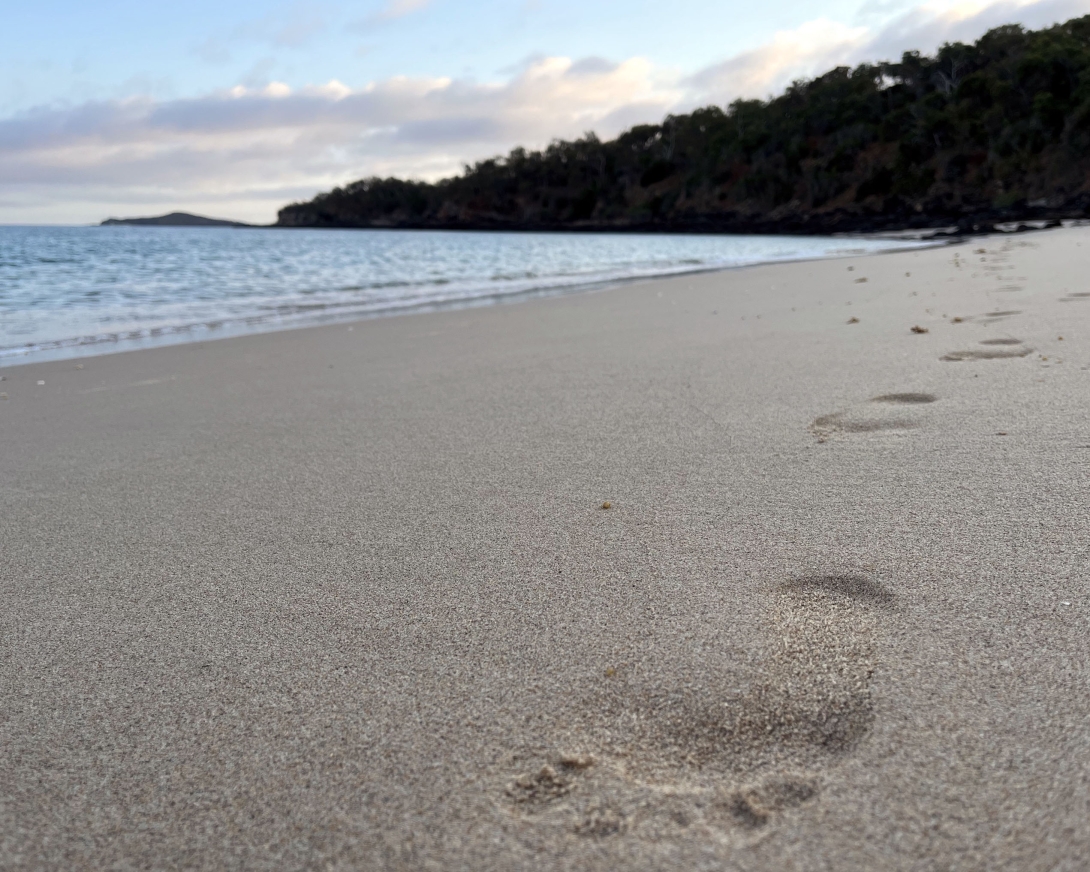 A photo of footprints in the sand at a beach.